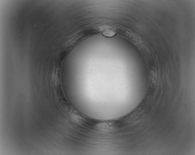 X0000073540422200608141057