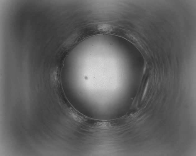 X0000073540424200608141057