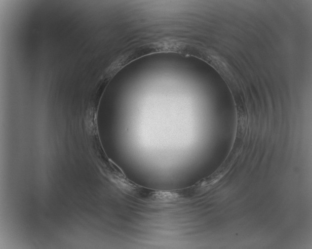 X0000073540429200608141057