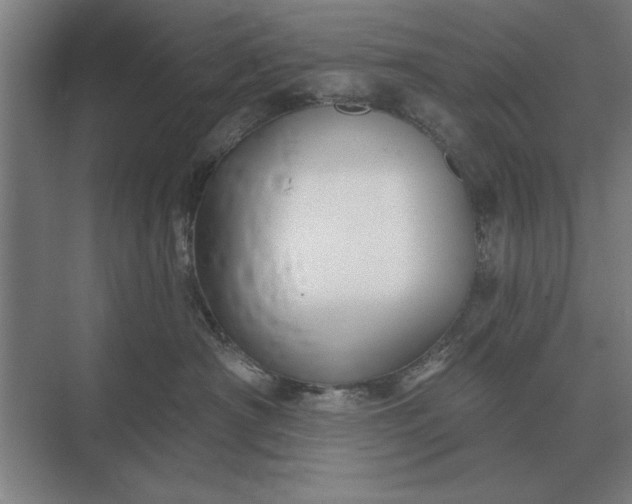 X0000073540430200608141057