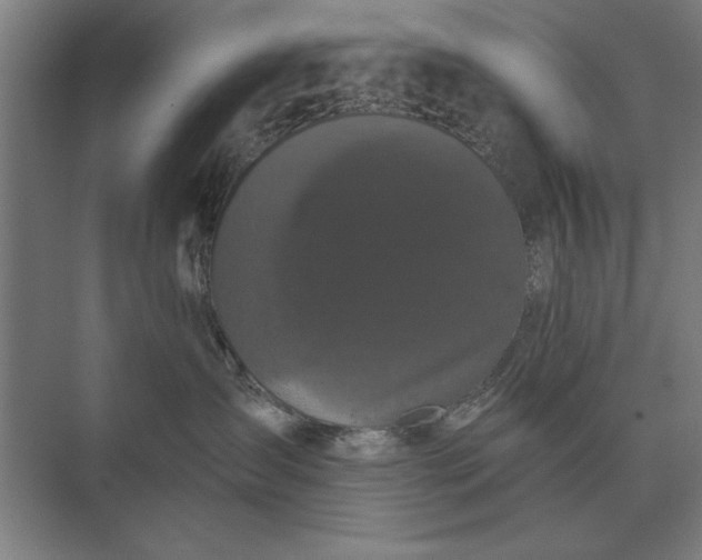 X0000073540431200608141057
