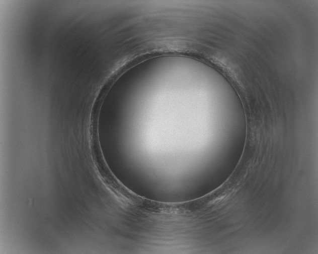 X0000073540439200608141056