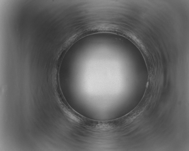 X0000073540445200608141056