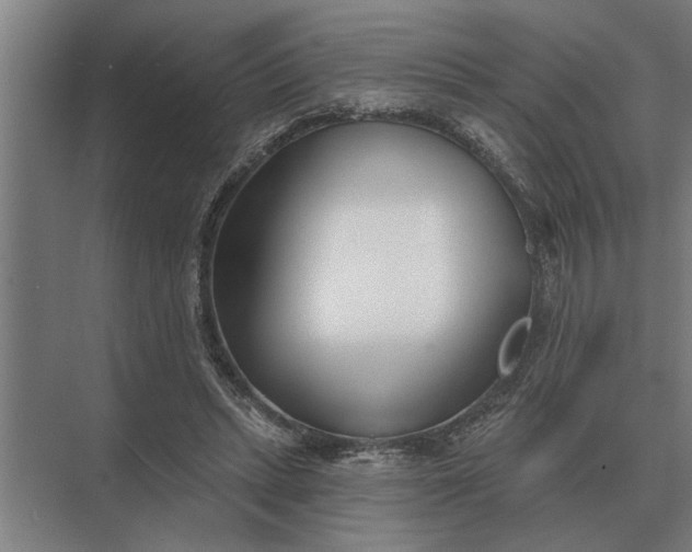 X0000073540447200608141056