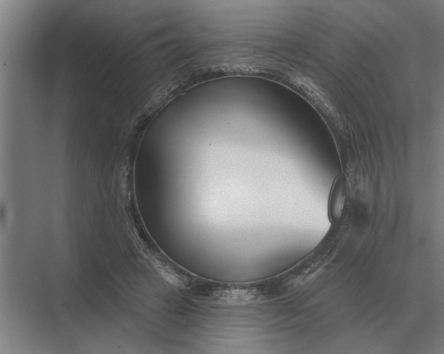 X0000073540449200608141056