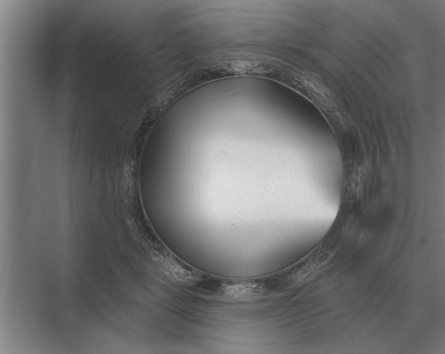 X0000073540461200608141057