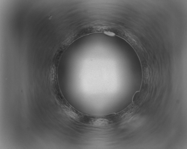 X0000073540463200608141057