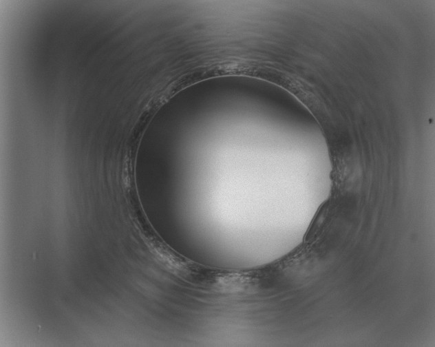 X0000073540470200608141057