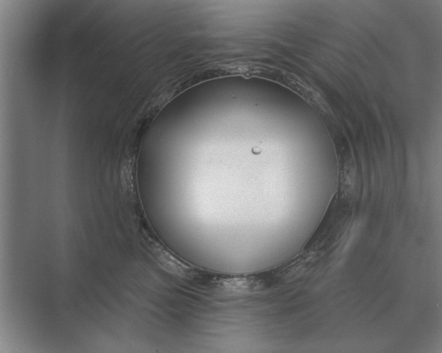 X0000073540473200608141057