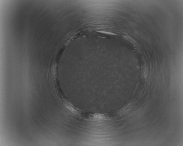 X0000073540475200608141057