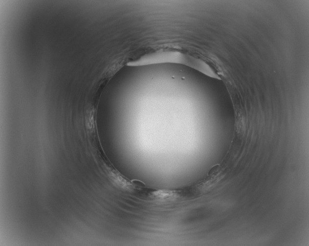 X0000073540477200608141057
