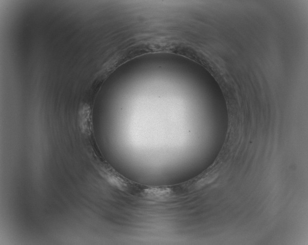 X0000073540480200608141057