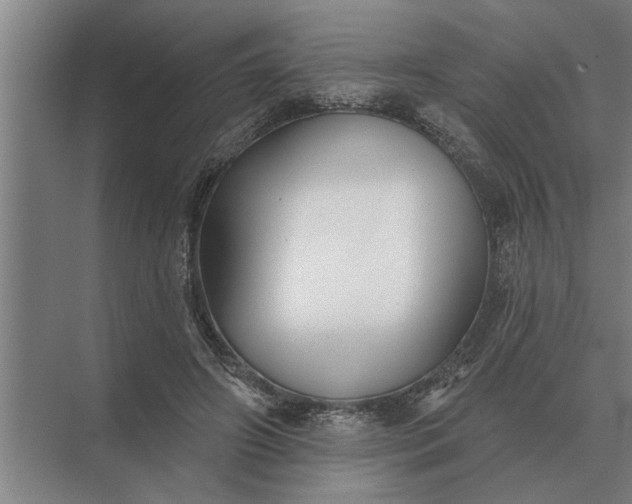 X0000073540498200608141056