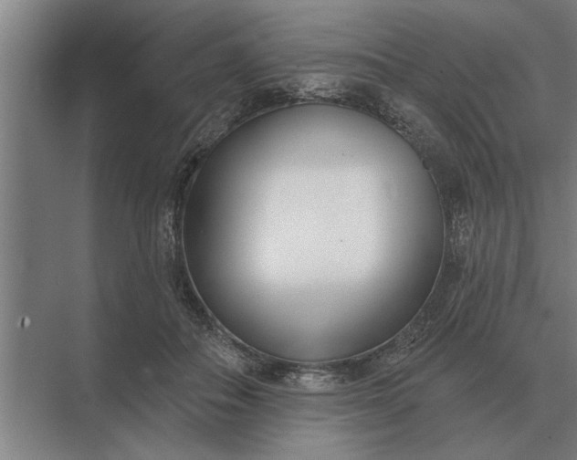 X0000073540506200608141056