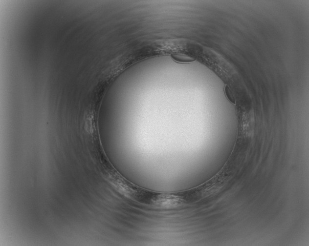 X0000073540514200608141056