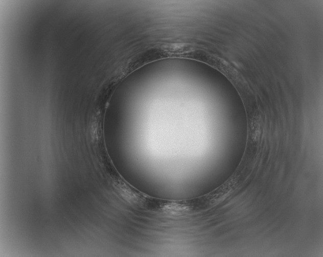 X0000073540515200608141056