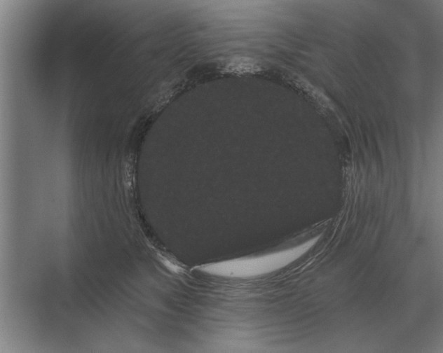 X0000073540517200608141055