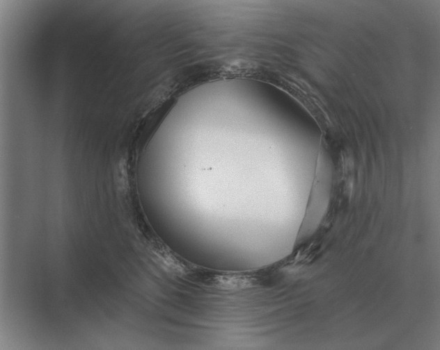 X0000073540520200608141055