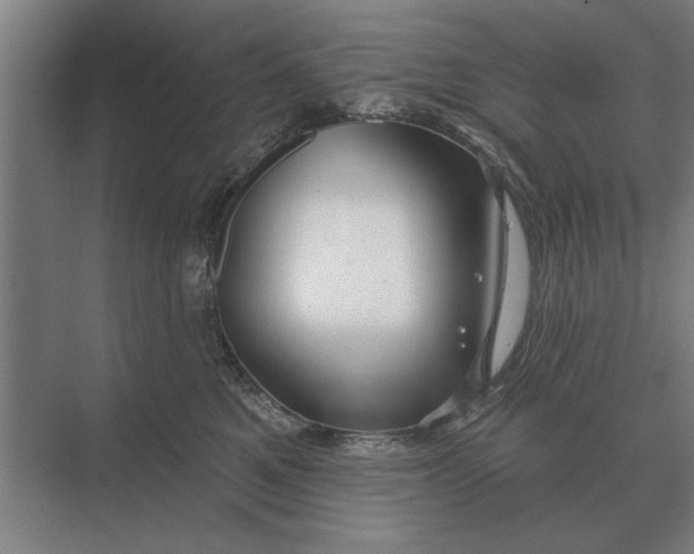 X0000073540521200608141055