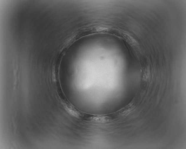 X0000073540524200608141055