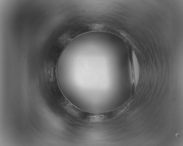 X0000073540525200608141055