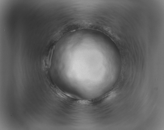 X0000073540528200608141055