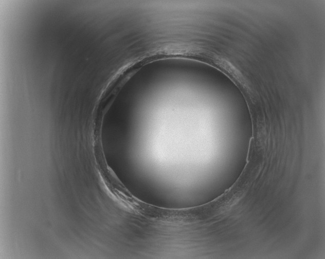 X0000073540530200608141054