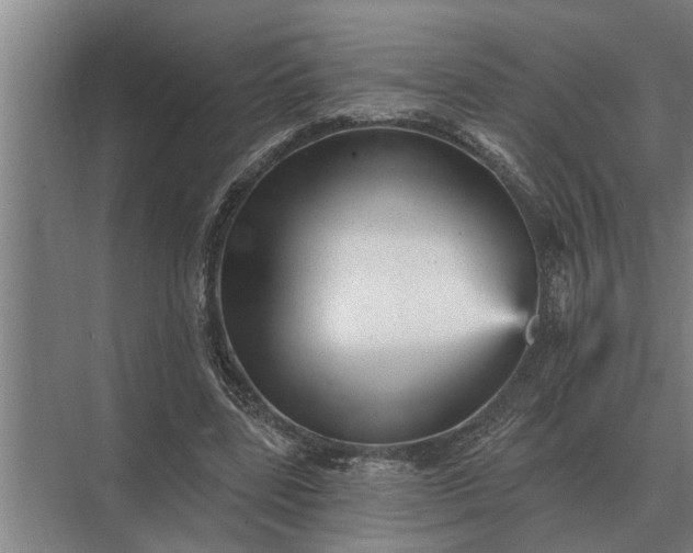 X0000073540539200608141055