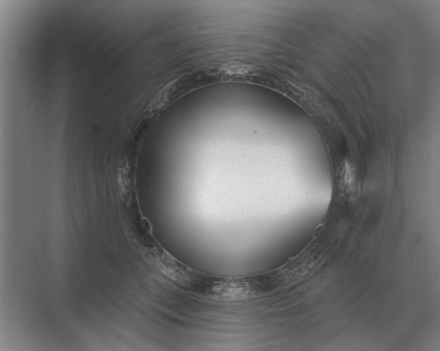 X0000073540559200608141055