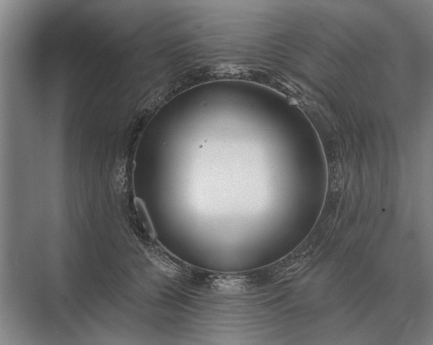 X0000073540560200608141055