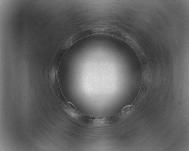 X0000073540574200608141055
