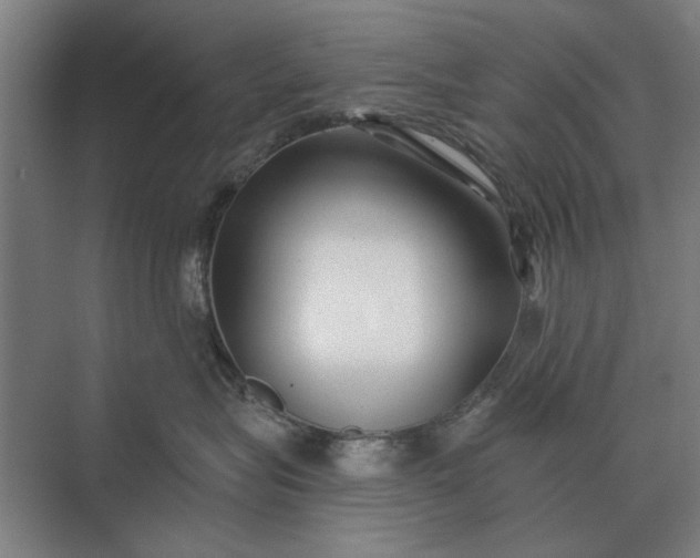 X0000073540575200608141055