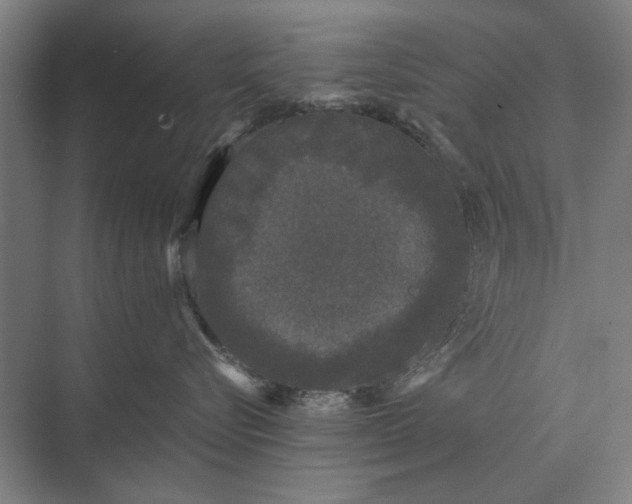X0000073540576200608141055