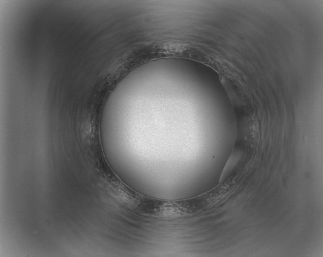 X0000073540608200608141054