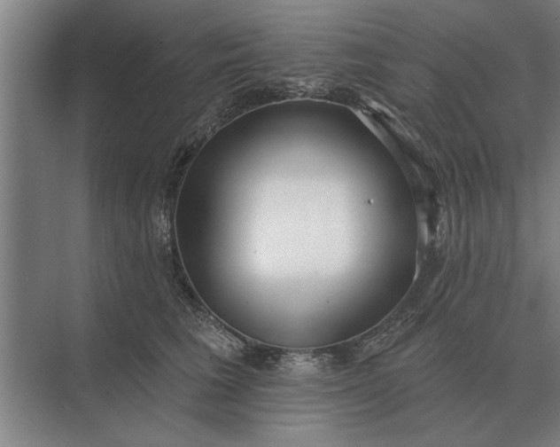 X0000073540613200608141054