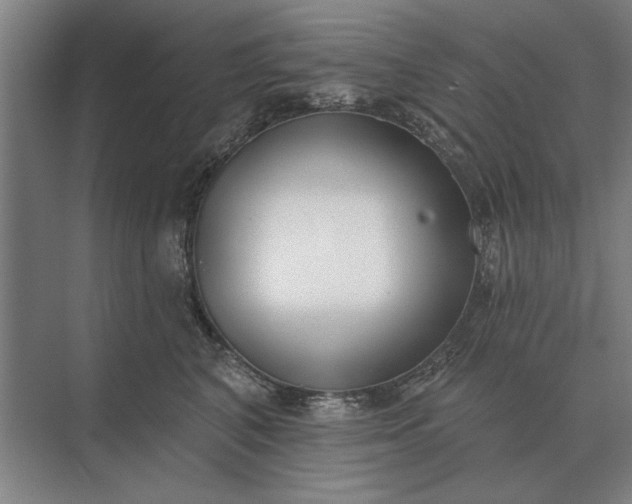 X0000073540616200608141054