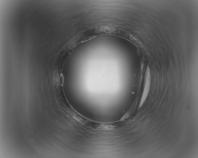 X0000073540617200608141054