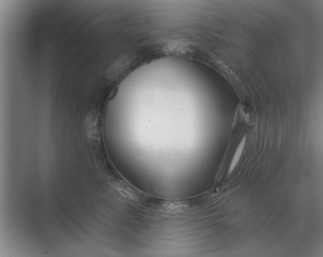 X0000073540619200608141054