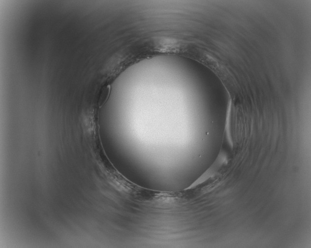 X0000073540620200608141054
