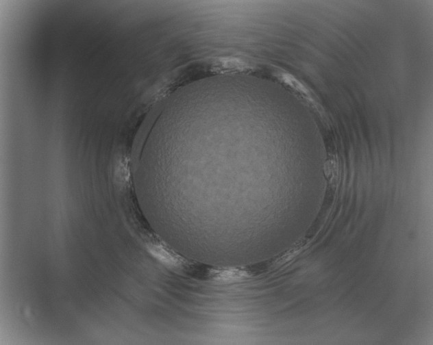 X0000073540621200608141054