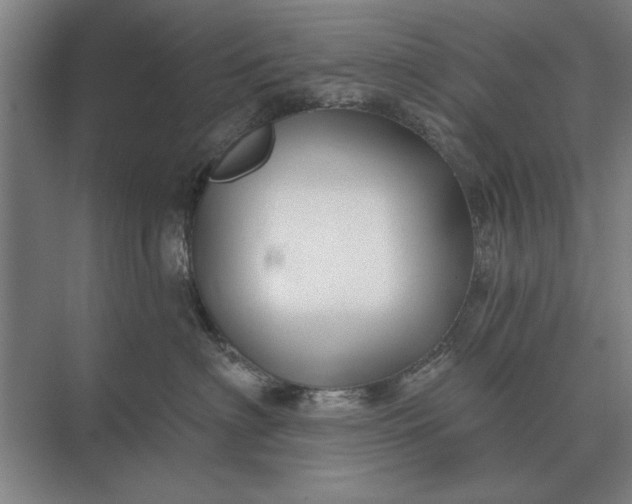 X0000073540622200608141054