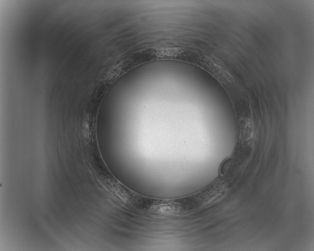 X0000073540655200608141053