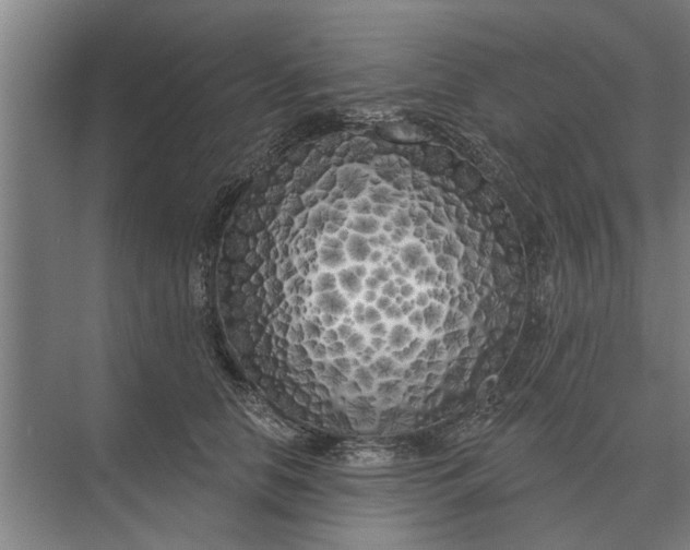 X0000073540658200608141053