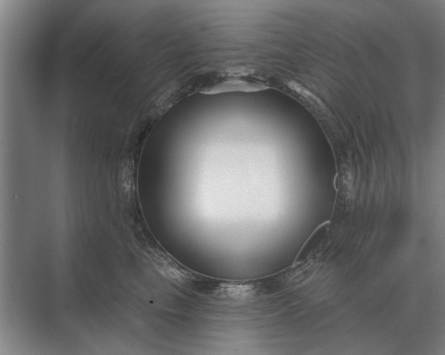 X0000073540665200608141054