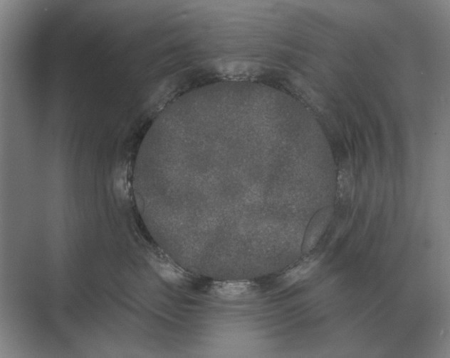 X0000073540671200608141054