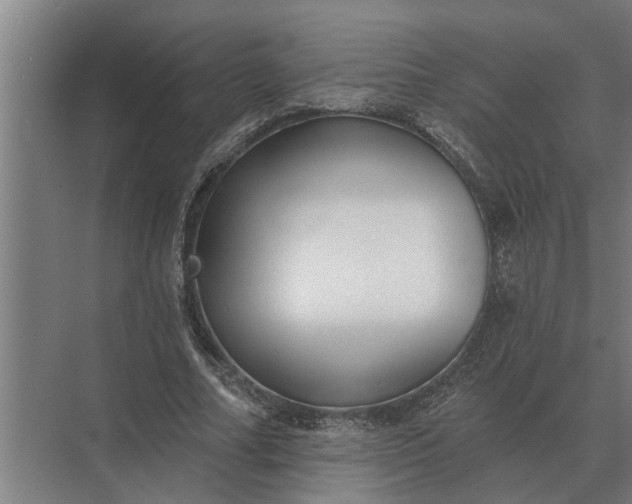 X0000073540682200608141053