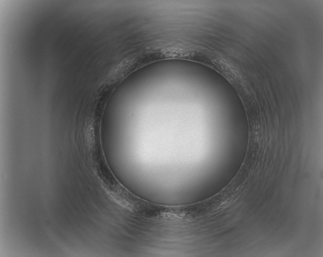 X0000073540690200608141053