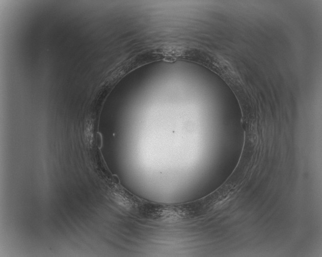 X0000073540697200608141052