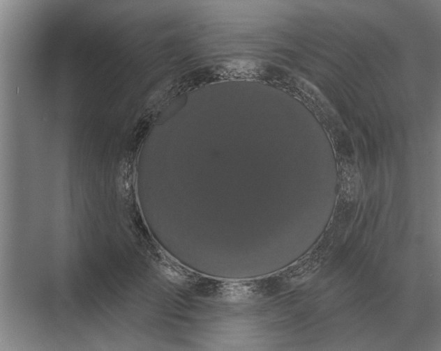 X0000073540701200608141052