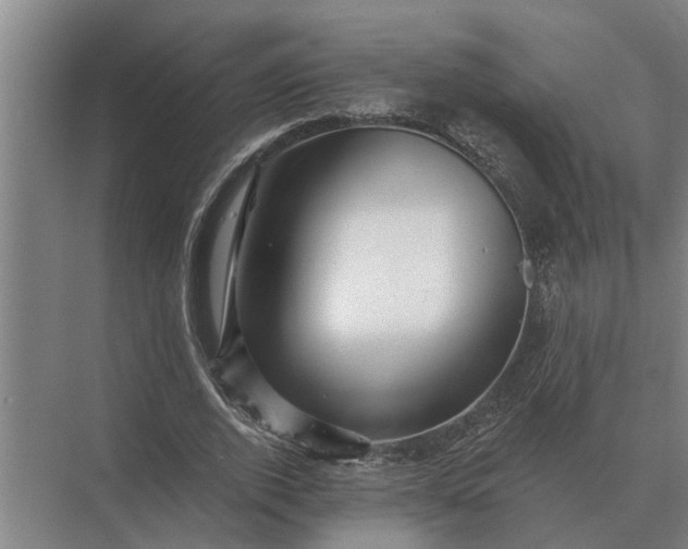 X0000073540728200608141051